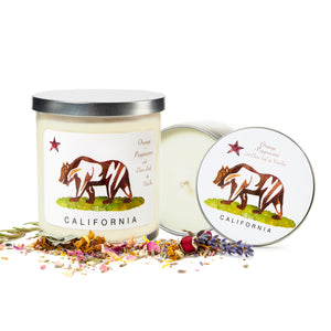 CA Bear Candles