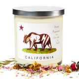 CA Bear Candles