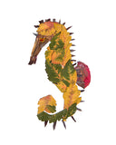 Seahorse Greeting Cards