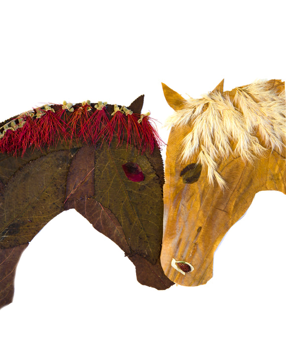 Horse Love